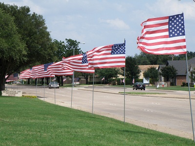 Flags on Main small