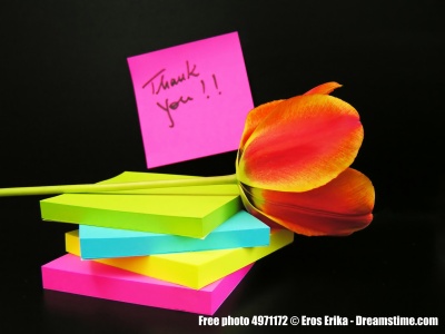 Thank you notes flower small